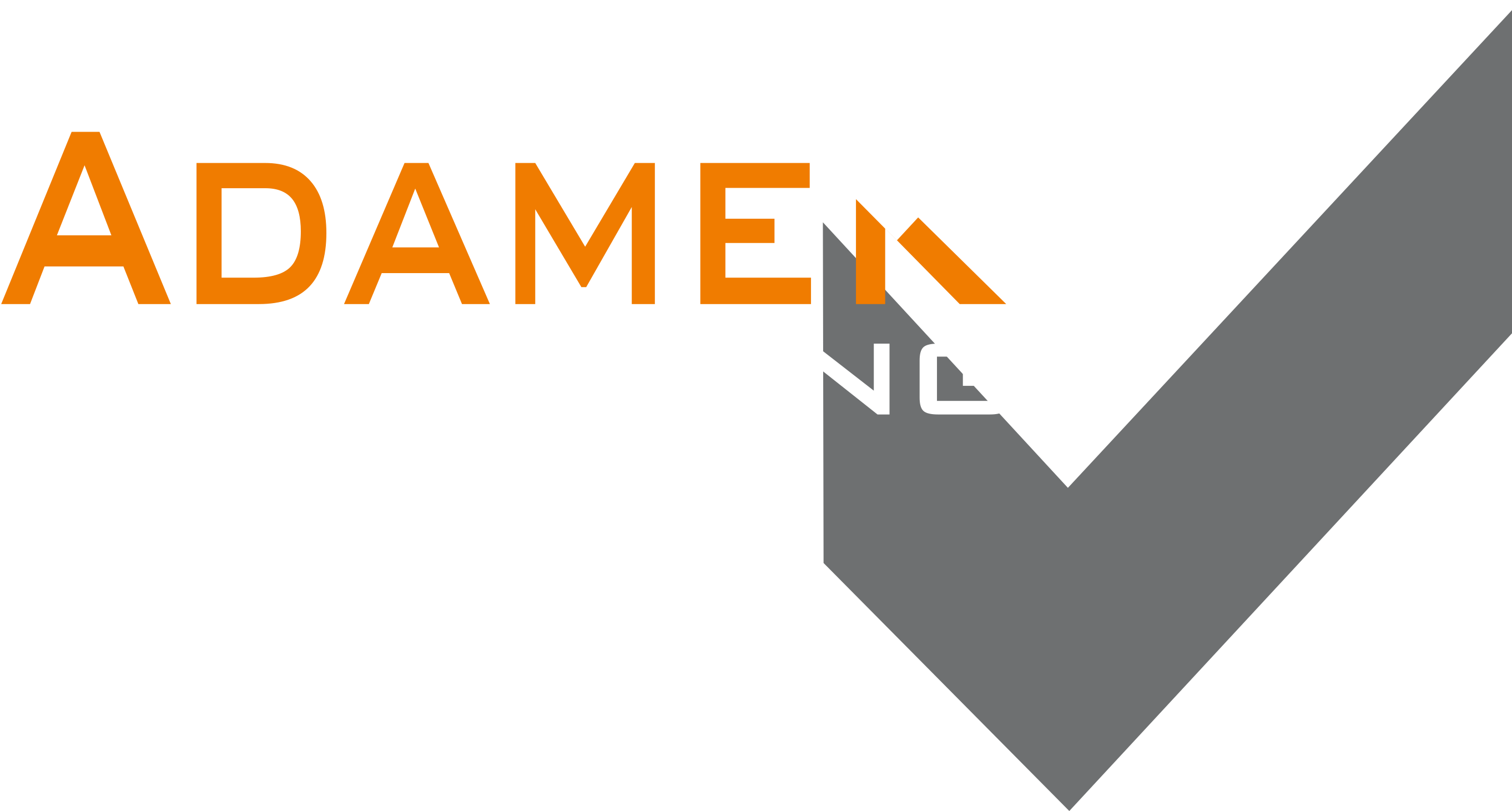 ADAMEK Consulting logo
